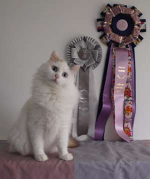 Topaz bliver Supreme Champion